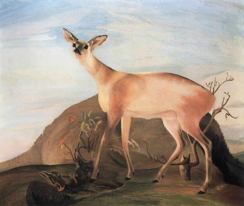 Kosztka, Tivadar Csontvry Deer Spain oil painting art